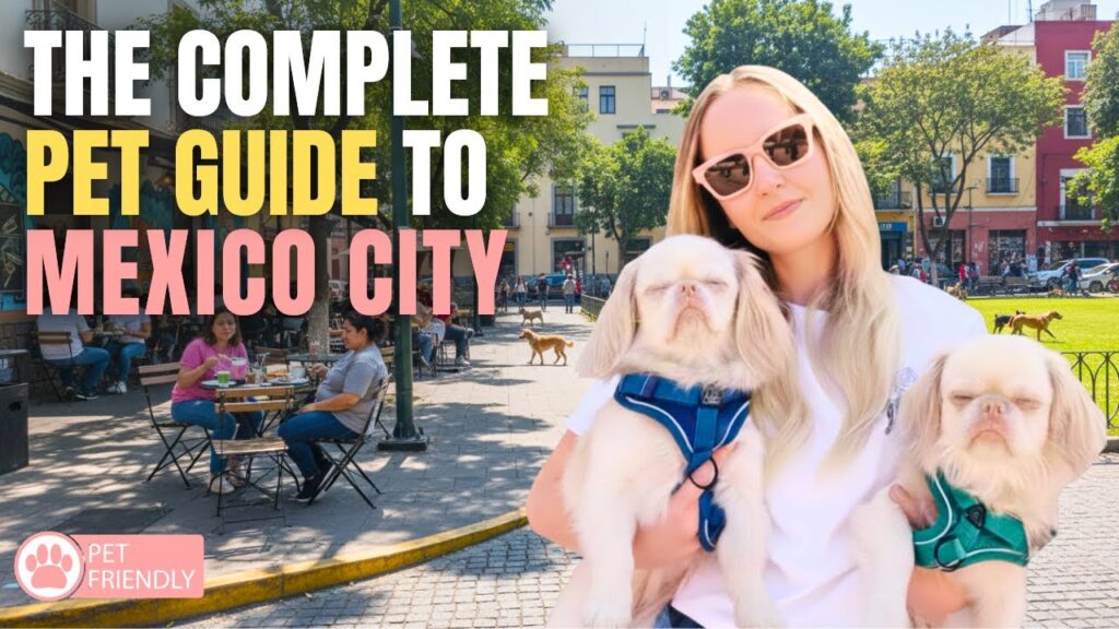 The Best Dog-Friendly Cafés and Parks in Mexico City